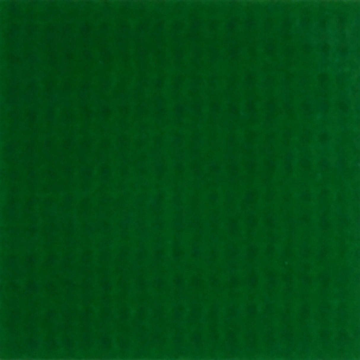 Cooley - Brite Lite Holly Green CBL21 78 Inch Awning Fabric - SewKnot