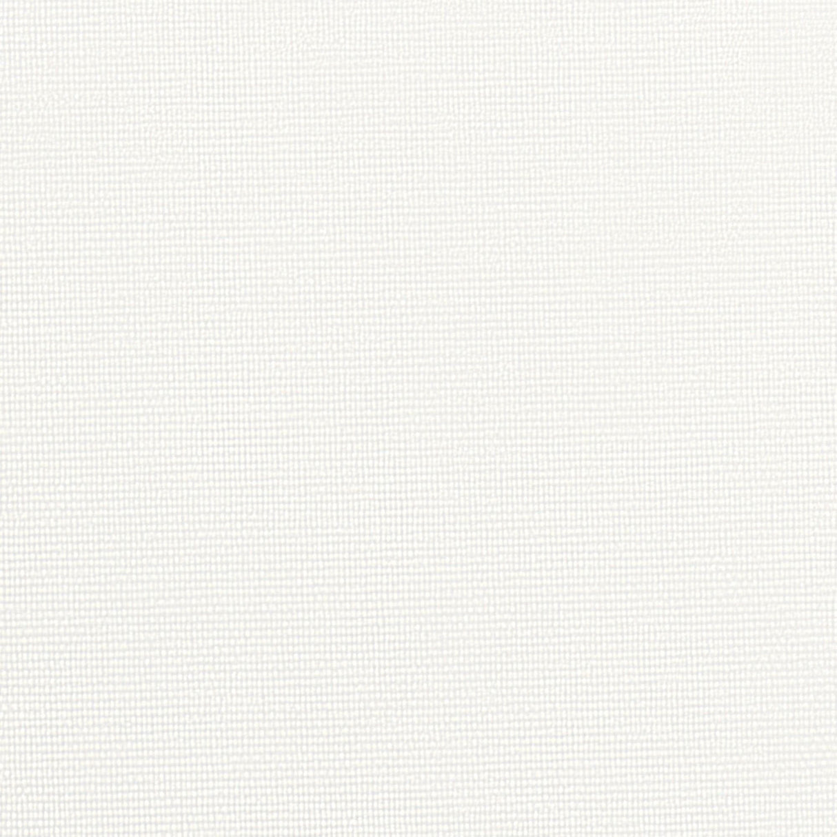 Sample of Phifertex Plus White 000 54 - inch Sling Upholstery Fabric - SewKnot