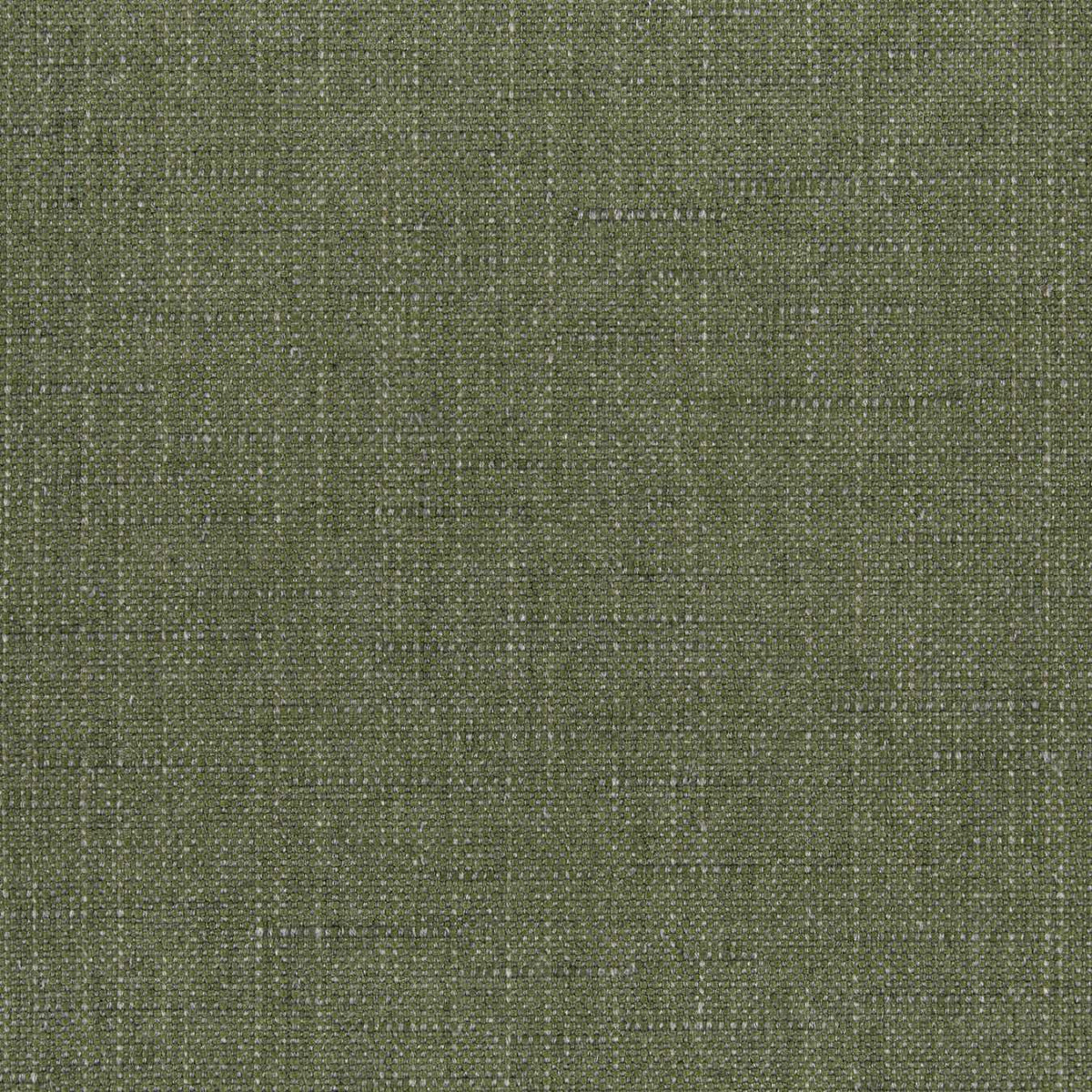 Sunbrella Willa Frond 146465-0035 Upholstery Fabric - SewKnot