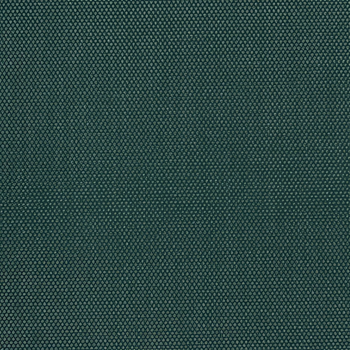 Sample of Phifertex Plus Holly Green CL1 54 - inch Sling Upholstery Fabric - SewKnot