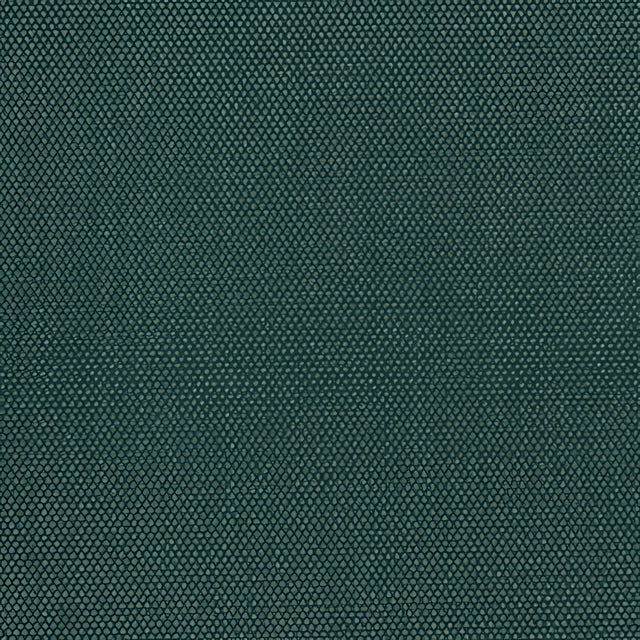 Sample of Phifertex Plus Holly Green CL1 54 - inch Sling Upholstery Fabric - SewKnot