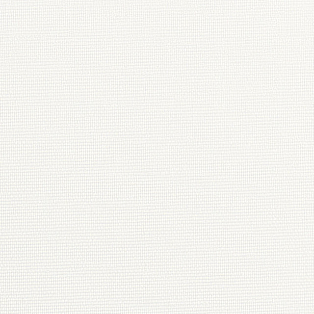 Sample of Phifertex Plus White 000 54 - inch Sling Upholstery Fabric - SewKnot
