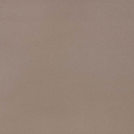 Sample of Sunbrella Capriccio Taupe 10200 - 0010 Horizon Marine Vinyl Upholstery Fabric - SewKnot