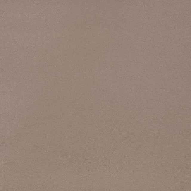 Sample of Sunbrella Capriccio Taupe 10200 - 0010 Horizon Marine Vinyl Upholstery Fabric - SewKnot