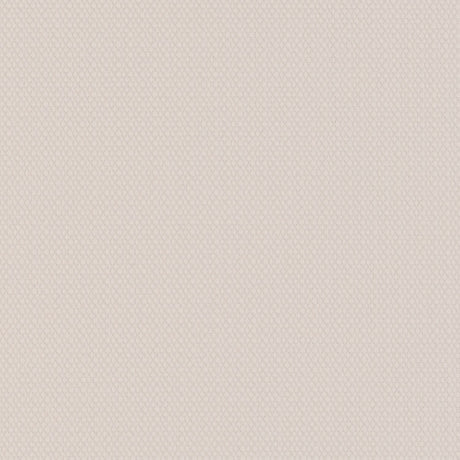 Sample of Sunbrella Shelter White 44530 - 0002 Upholstery Fabric - SewKnot