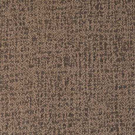 Sunbrella Abstraction Fossil 370041-0005 Upholstery Fabric - SewKnot