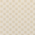Sunbrella Mend Saffron 146921-0002 Upholstery Fabric - SewKnot
