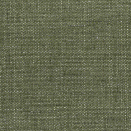 Sunbrella Willa Frond 146465-0035 Upholstery Fabric - SewKnot