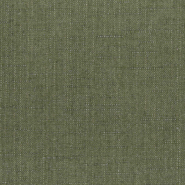 Sunbrella Willa Frond 146465-0035 Upholstery Fabric - SewKnot